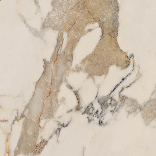 Photo EPOQUE IVORY LAP (PF60004310) 60x60 by Ariana