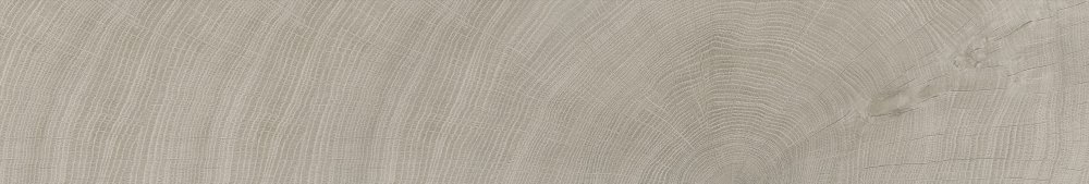 Photo Tree-Ring 25x150 (C2515) by Moreroom