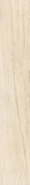 Photo Antique Ivory Fondi Nat.Rettificat 20x120 by Cerdomus