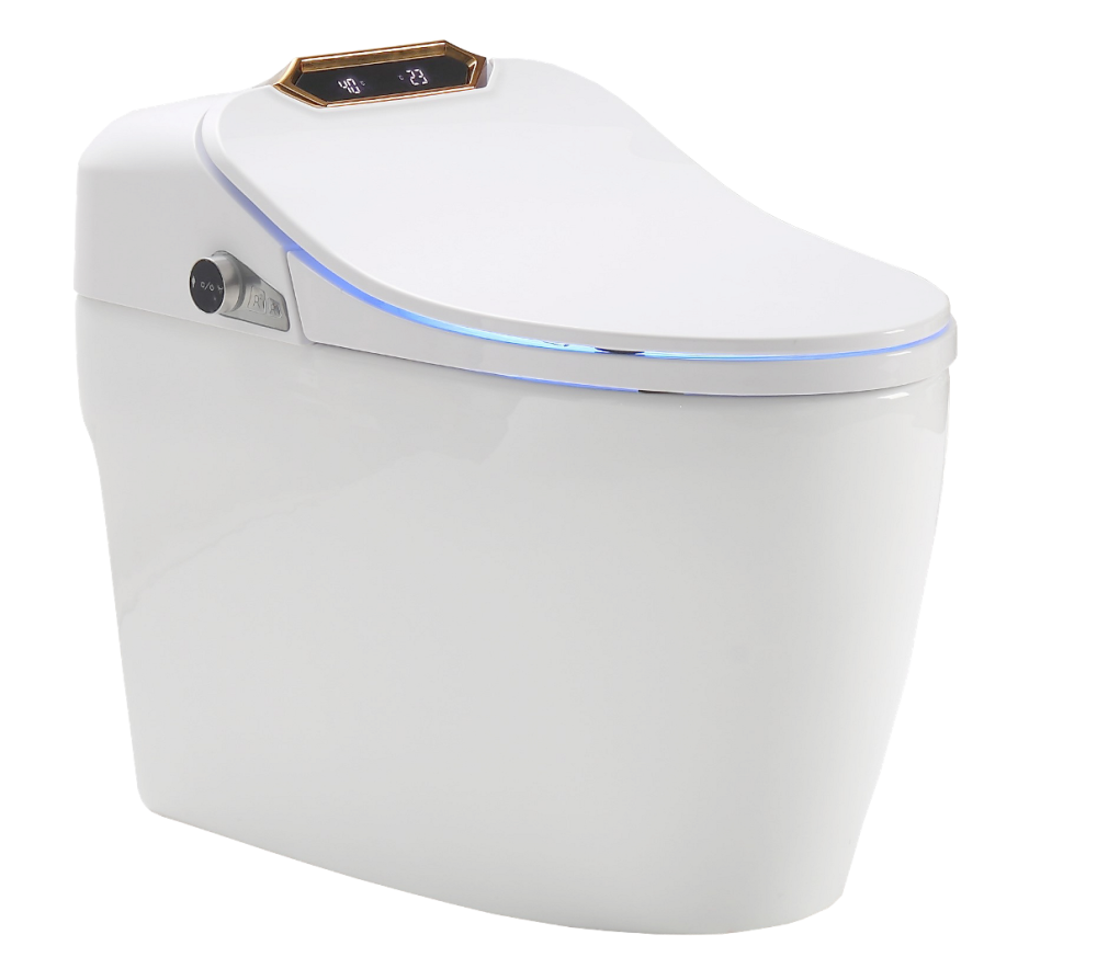 Photo Electronic toilet Timo TE-731