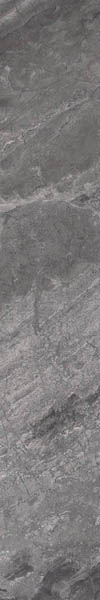 Photo SUPREME Charcoal Lev Ret (75409) 20x120 by Cerdomus