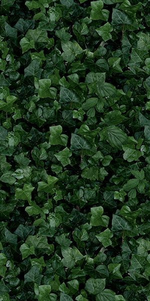Photo PAPER41 PRO Jane E (4100155) 50x100 by 41ZERO42