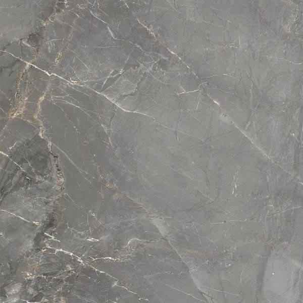 Photo Sybil Silver Levigato 60 60x60 by Cerdomus