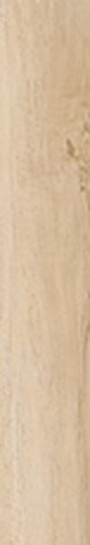Photo Antique Clay Fondi Nat.Rettificat 20x120 by Cerdomus