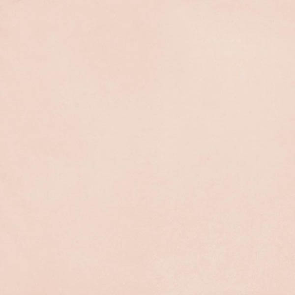 Photo Porcelain porcelain Futura Rose (4100526) 15x15 from 41ZERO42