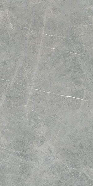 Photo SUPREME EVO GREY AMANI LUX 60x120 by Flaviker