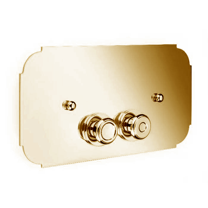Photo Nicolazzi Complementi Arredo 5542GF gold flush plate