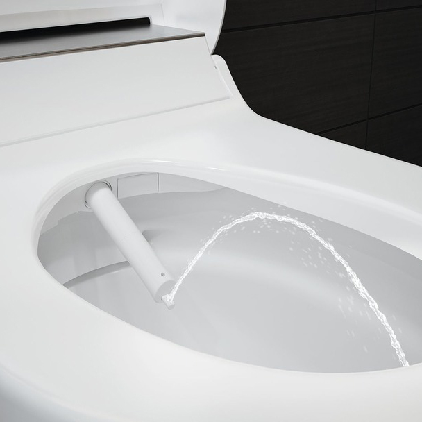 Photo Geberit AquaClean 146.294.11. 1st