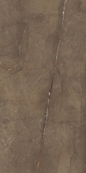 Photo Pulpis Puro Nat/Rett 65420 (UGL) 30x60 by Cerdomus