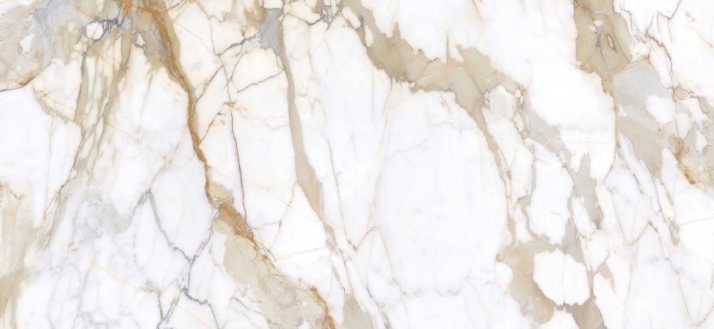Photo Calacatta Gold 120x260 (MN034AP261206 special) by Moreroom