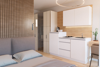 Apartments with the possibility of renting out on Airbnb (service model)