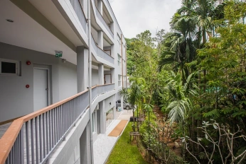 Palmetto Condominium
