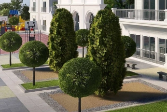 Vincitore Benessere