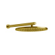 Photo Top shower Gessi 316 54148 #727 gold