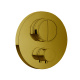 Photo Almar Core E176632.GO Gold