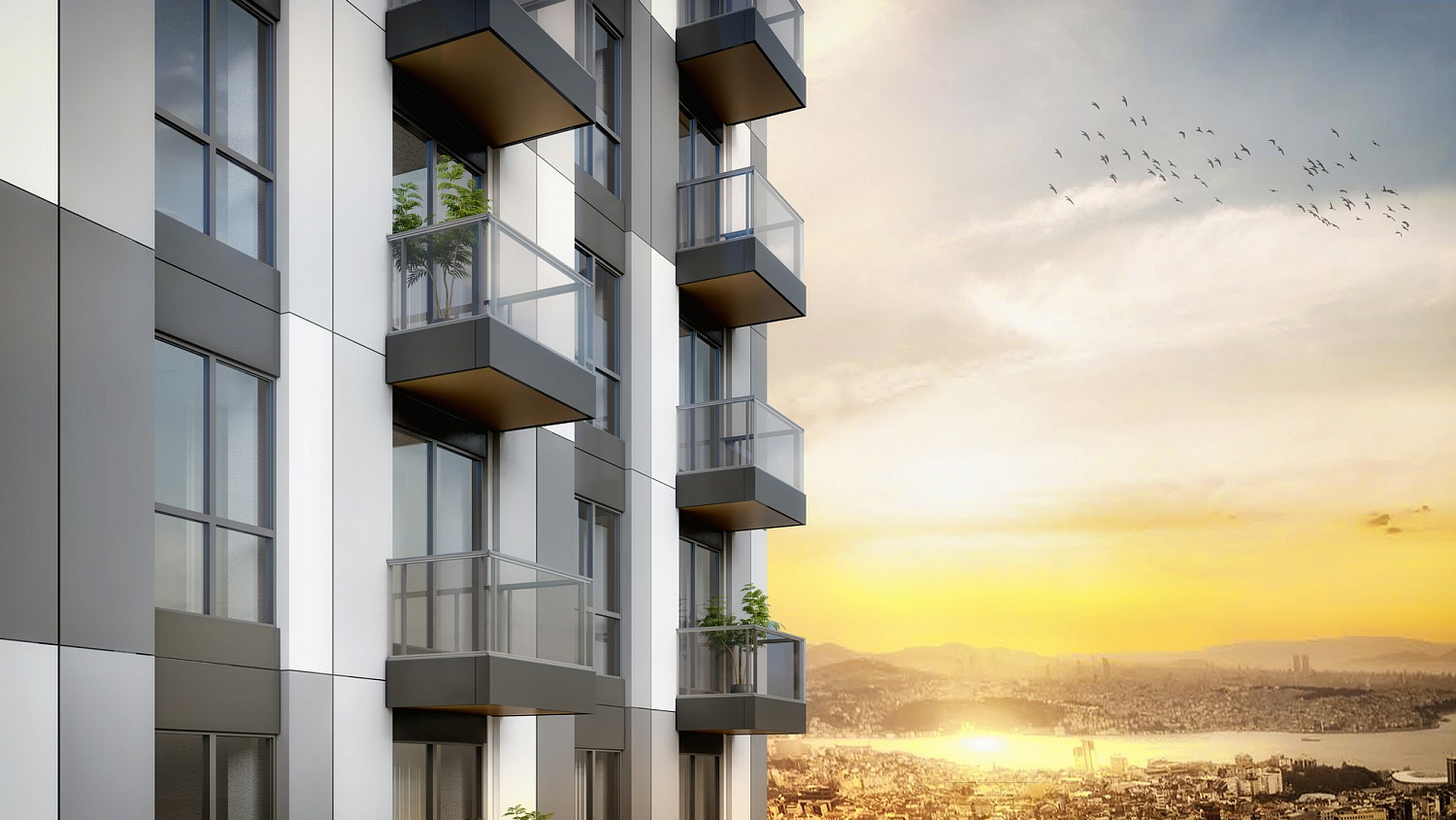 Beautiful apartments in the area of Beaumonti