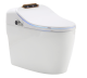 Photo Electronic toilet Timo TE-731