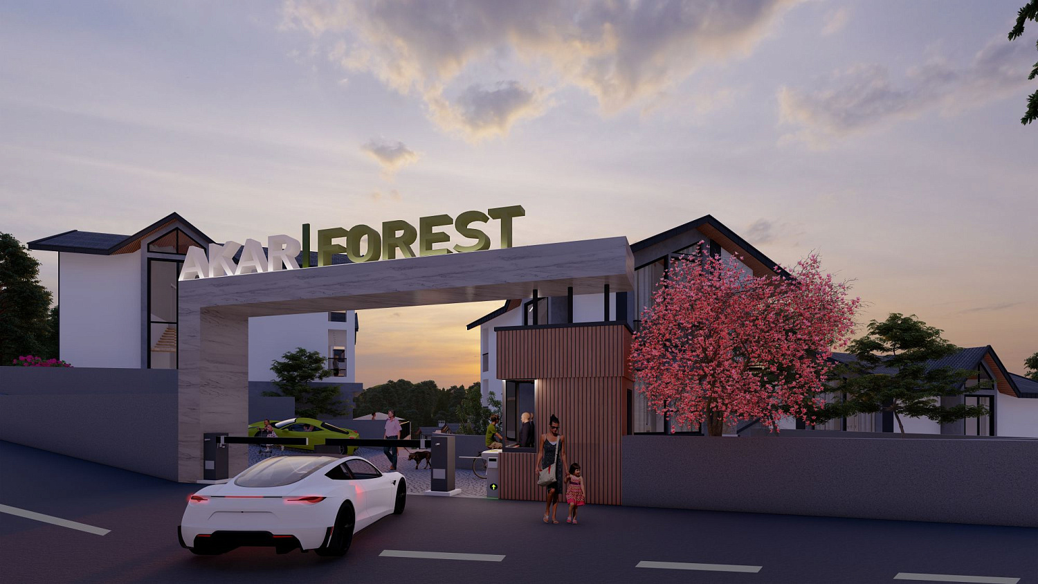Photo Akar Forest