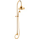 Photo Shower Column with 2 Souls, Switch and Nicolazzi 5712WS.GB20 Holder