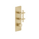 Photo Gessi Inciso shower mixer 58224#246 gold