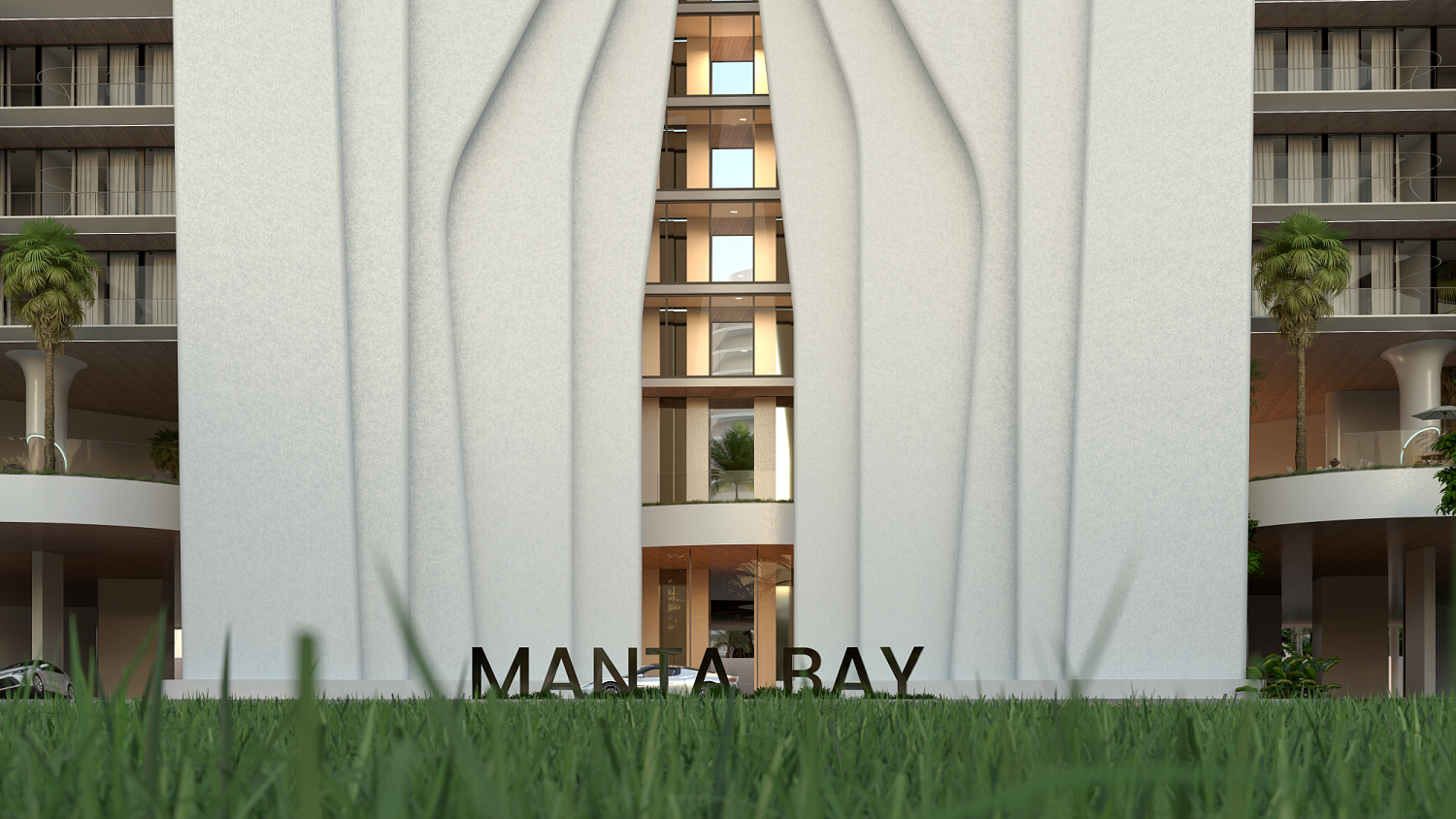 Photo Manta Bay