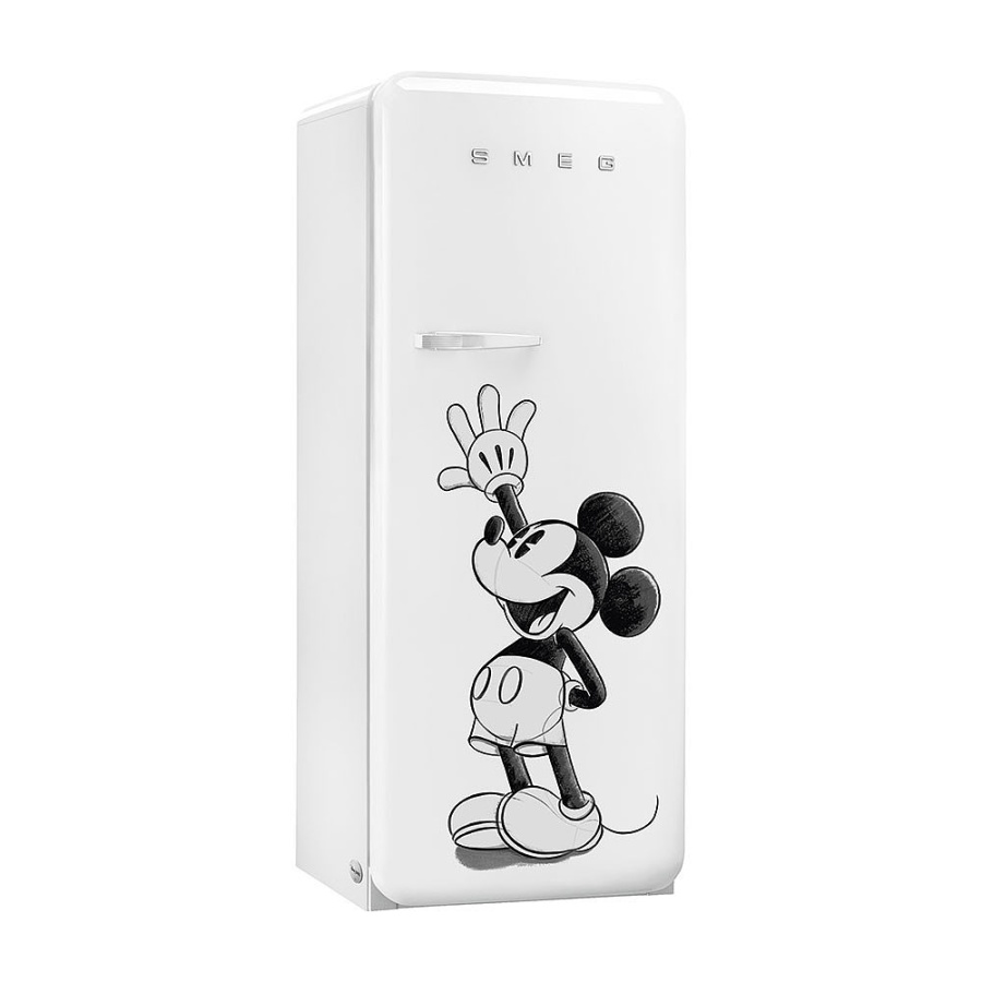 Photo Smeg FAB28RDMM5 refrigerator