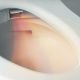 Photo Toto Neorest WX1 CW927PZY