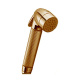 Photo Sanitary shower Nicolazzi Doccia 5523TRG gold