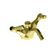 Photo Stella Eccelsa Leve EL 00204 AU00 Gold