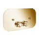 Photo Nicolazzi Complementi Arredo 5542GF gold flush plate