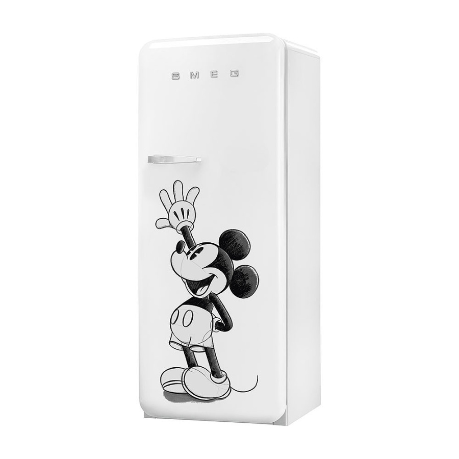 Photo Smeg FAB28RDMM5 refrigerator
