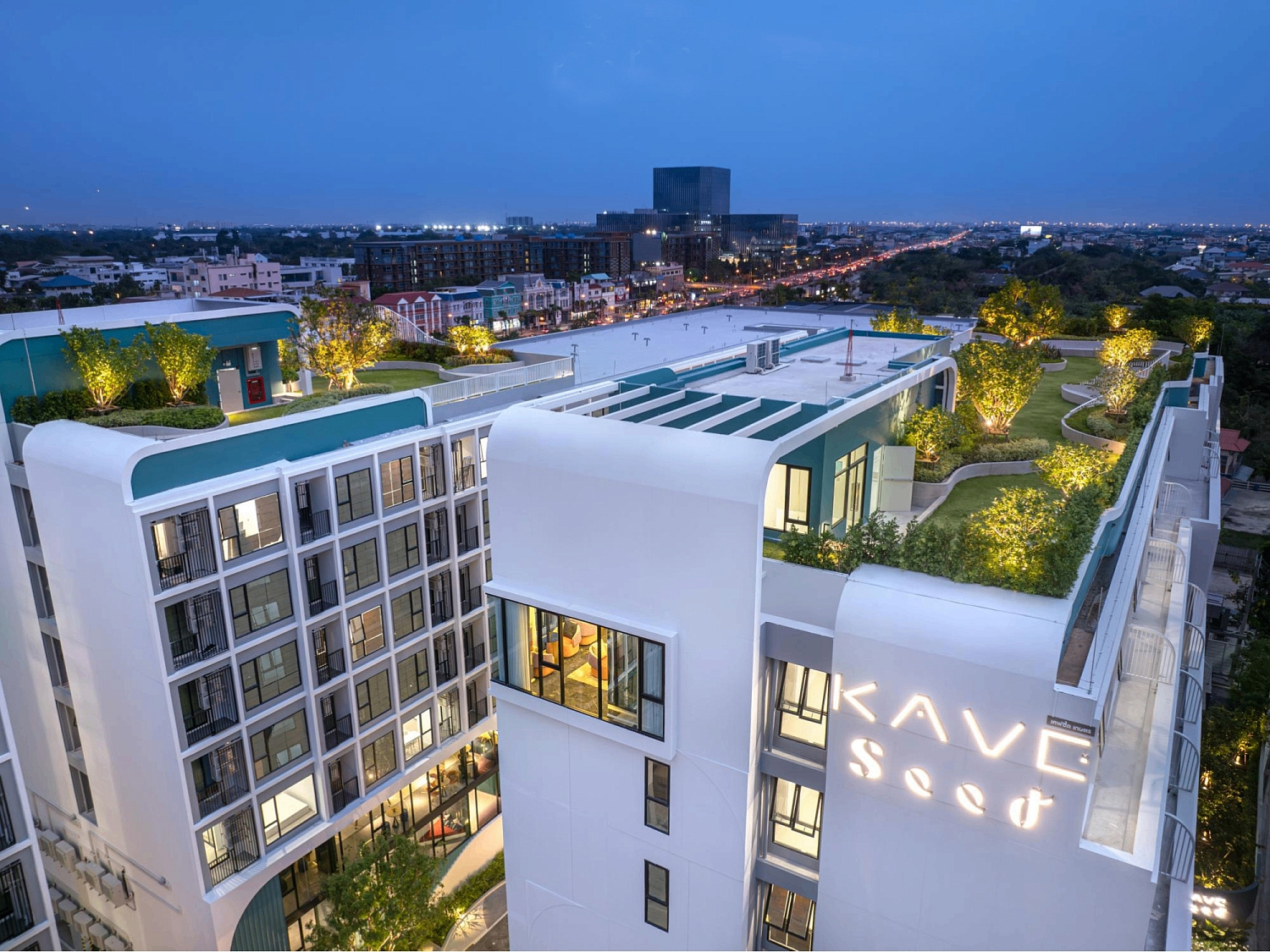 Photo Kave Seed Kaset