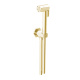 Photo Hygienic shower Stella Eccelsa EC 03124 AU00 gold