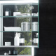 Photo Closet mirrored Keuco Royal Lumos 140 14306171304 with illumination and heated anodized silver