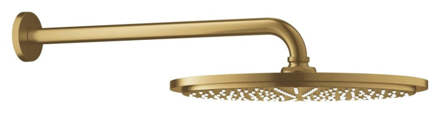 Photo overhead shower Grohe Rainshower 26066GN0 cold dawn matte