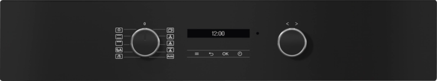 Photo Miele H 2466 BP Active OBSW